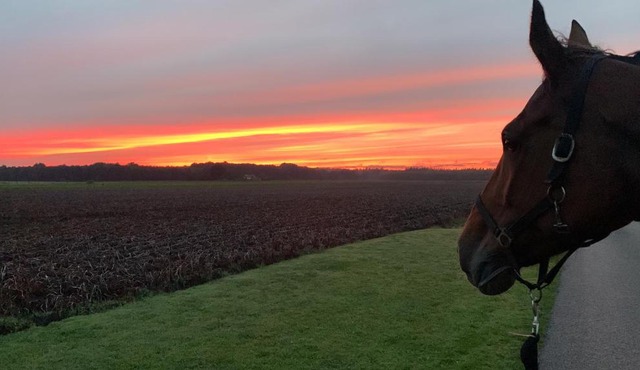 Onze boerderij