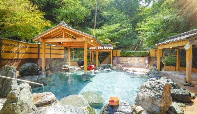 Ooedo Onsen Monogatari Hotel Reoma no Mori