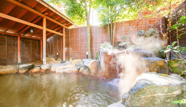 Ooedo Onsen Monogatari Premium Ikaho