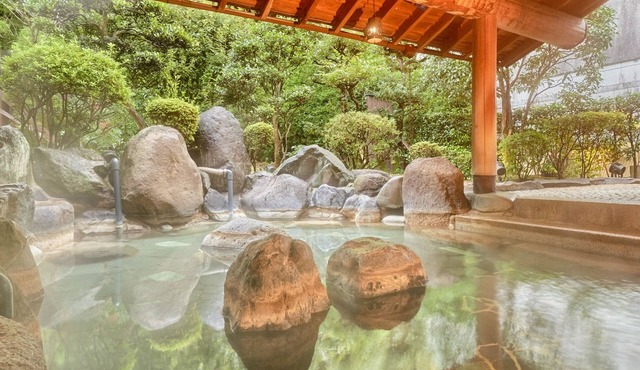 Ooedo Onsen Monogatari Premium Saiki Bekkan