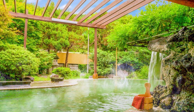 Ooedo Onsen Monogatari Shinshu Kakeyu