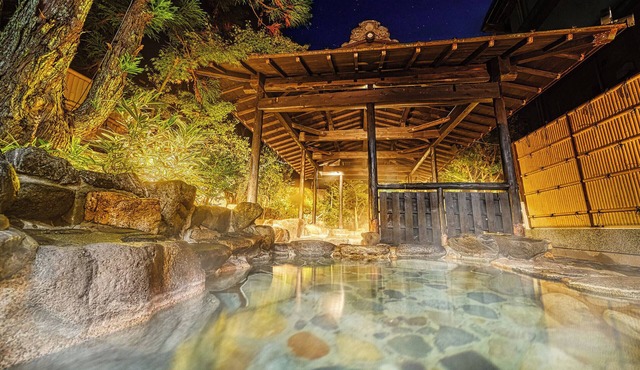 Ooedo Onsen Monogatari Terunoyu