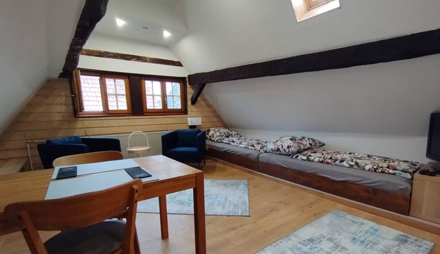Open loft apartment/parking space