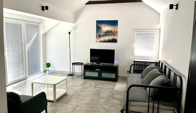 Open Space Apartment