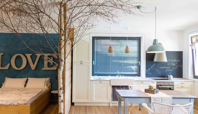 Openspace three-room apartment with lake view