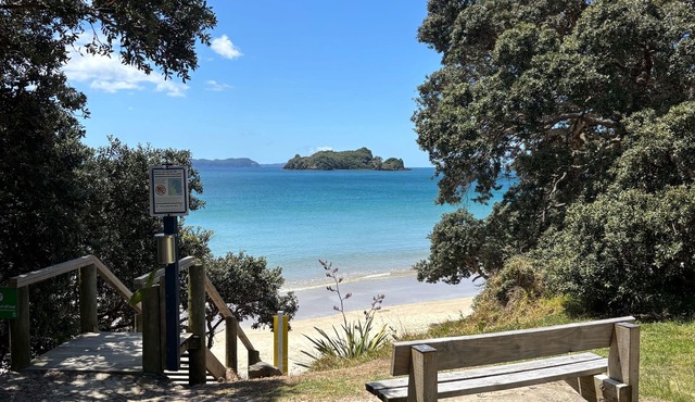 Opito Bay Studio and Cabin Getaway