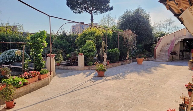 Oplontis' Garden