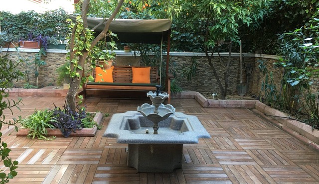 Orange Garden