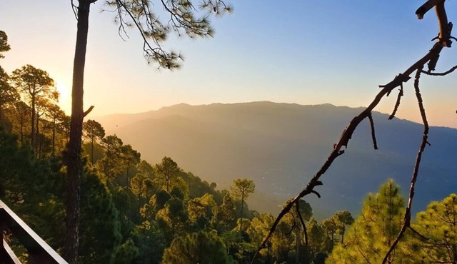 Orangeloft Expressway Murree