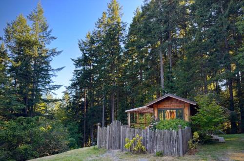 Orcas Island Forest Grove, A Cozy Naturalist Retreat