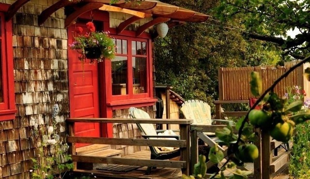 Orchard Cabin - A Cozy Cabin in a Peaceful Orchard Close to Ganges.