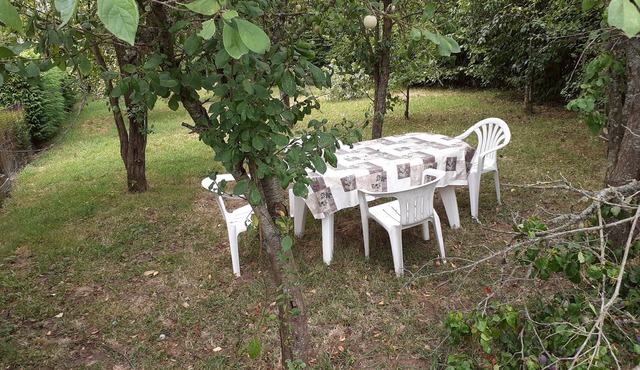 Orchards Gite "The Apple Trees" in Suisse Normande