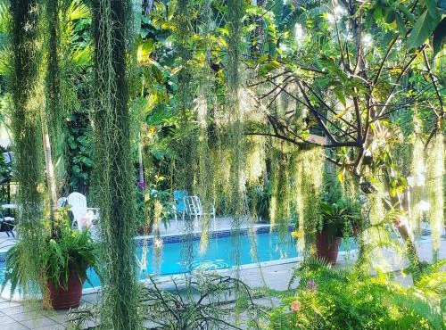 Orchid Cottage