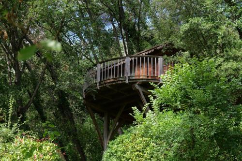 Orion Treehouses