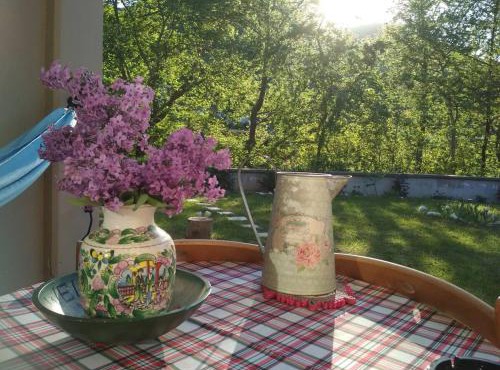 Orma Pet friendly Retreat studio
