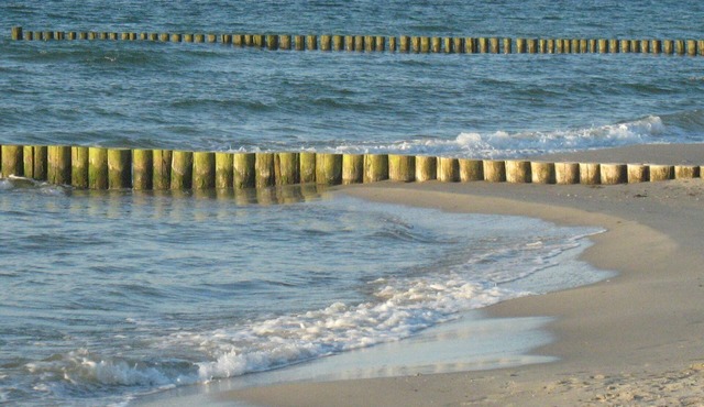 Ostseefalter, Deutschland