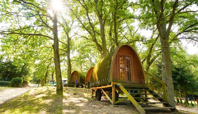 Other accommodations for 2 guests, 10 m², in Lohmen, Garden (270010)