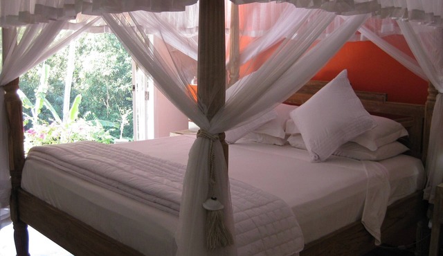 Our Luxury 'LOTUS' Room