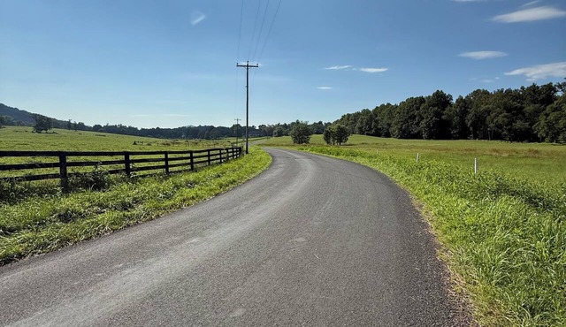 Our place is dog-friendly, stunning views of Shenandoah Skyline Drive
