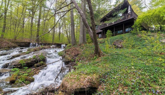 Owl Brook: Creekside Mid-Century Escape