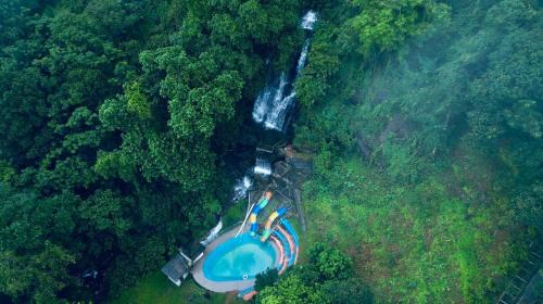 Oxygen Rainforest Resort