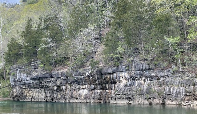 Ozark Getaway! Near Jacks Fork River with Free Parking! Pets Allowed!