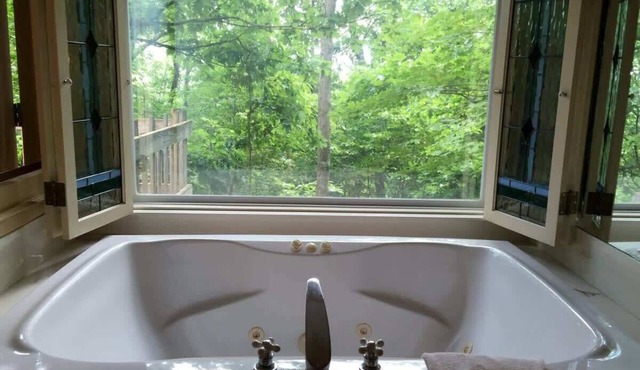 Ozark Spring Cabin 04 Firefly Glow, King, Spa Tub