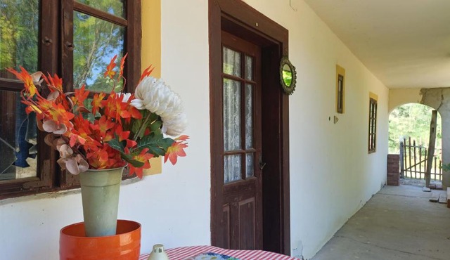 Ozora Relax Home