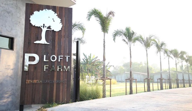 P LOFT FARM
