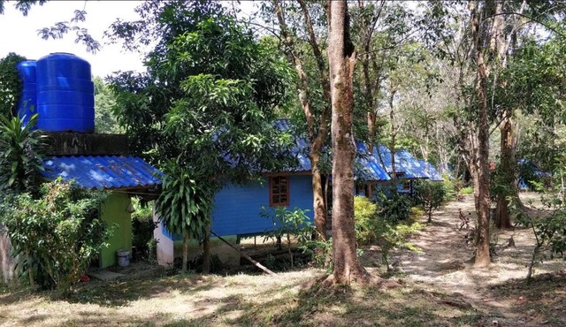 P'Mild Bungalow