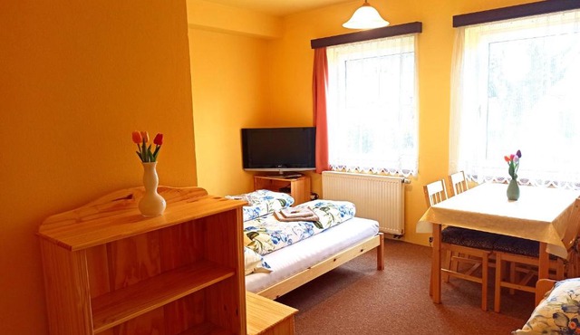 P&P Jičín Apartments - soukromé 2-3 lůžkové pokoje s vlastní kuchyní a koupelnou