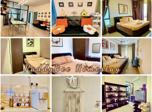 Paddy Bee