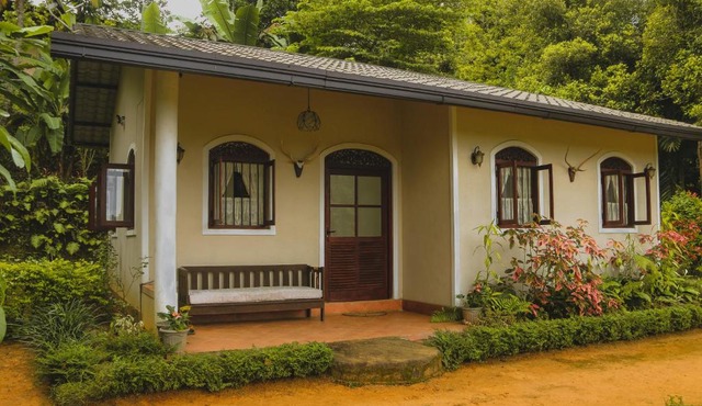 Paddy View Cottage