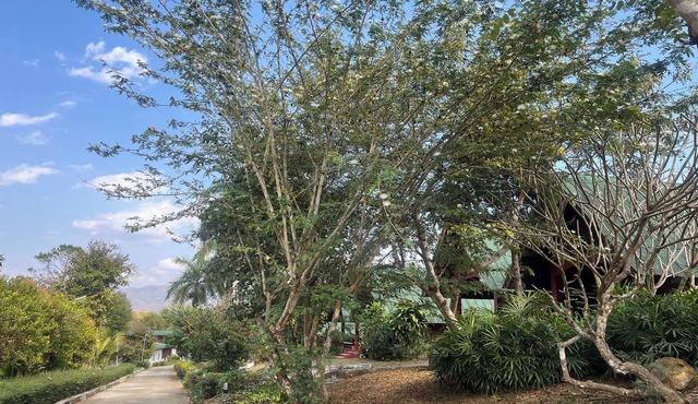 Pai Hillside Resort