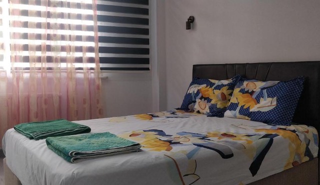 Painter's guest house