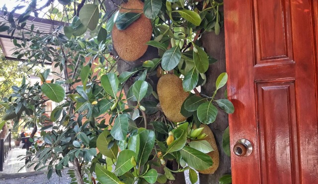 Pairom Resort