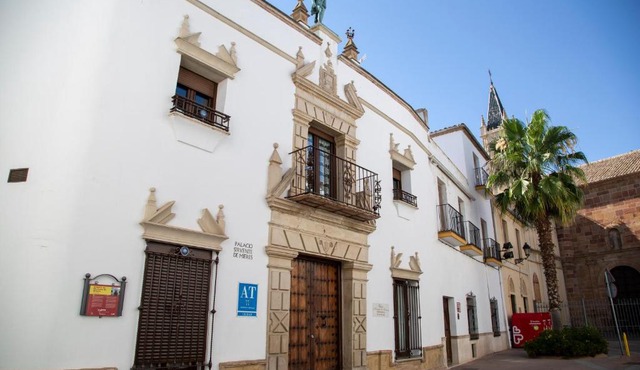 Palacio Sirvente Mieres - PARKING GRATUITO