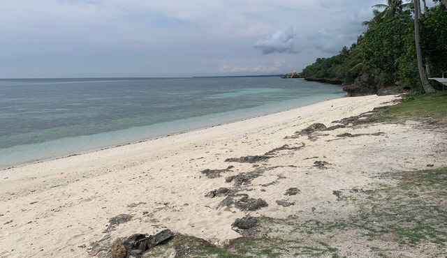 Palanas White Sand Beach Resort
