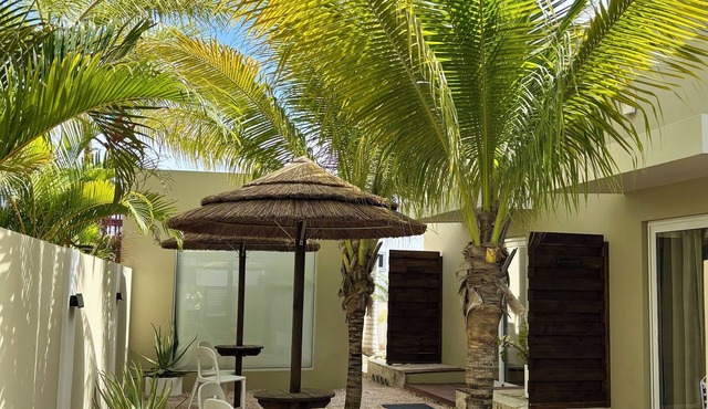 Palapa Suite # 8, walk to Eagle Beach