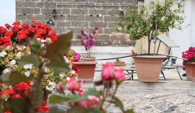 - Palazzo Retrò, with a terrace overlooking the historic center of Nardò -