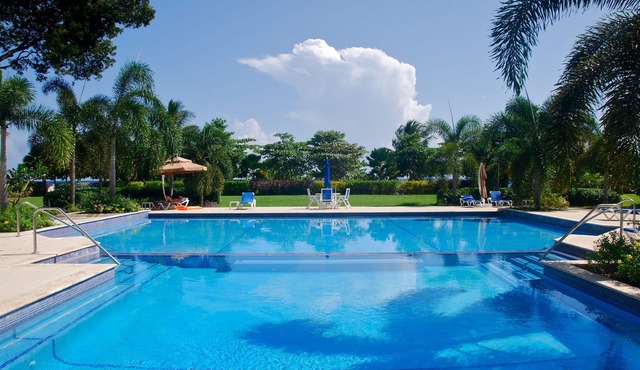 Palm Beach 109 Hastings Barbados, 3 Bdrm condo. Beachfront, Pool, Best location!