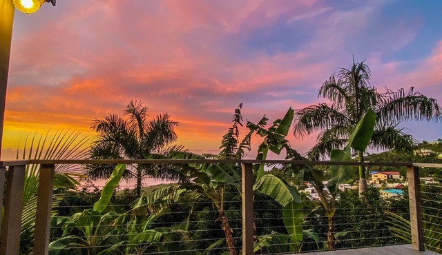 Palm Deck, a private slice of paradise overlooking the ocean