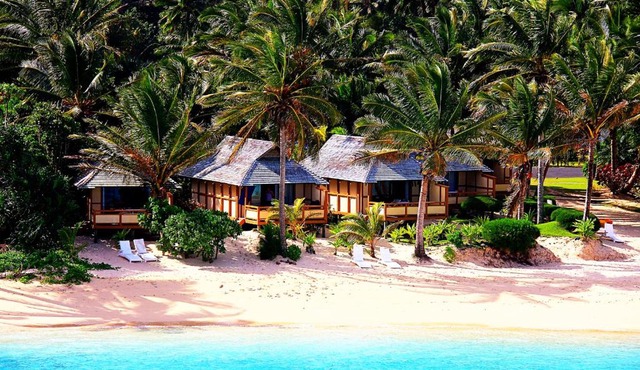 Palm Grove