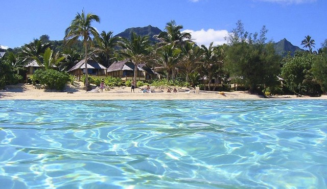 Palm Grove