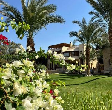 palm shadow resort