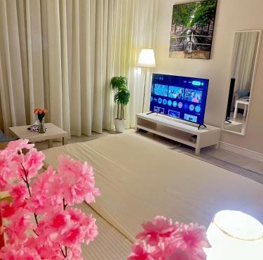 Palm Studio
