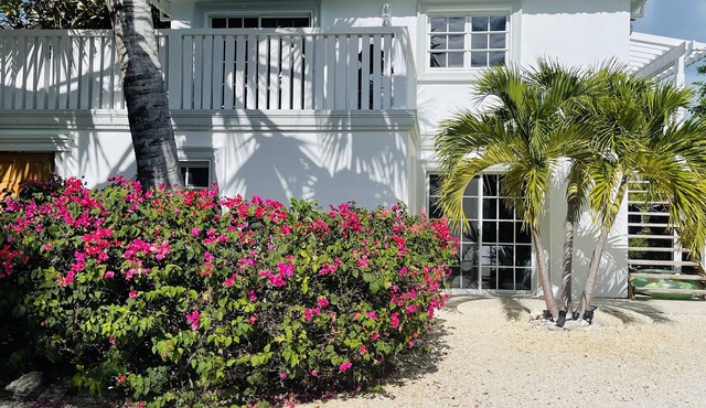 PALM BREEZE VILLA