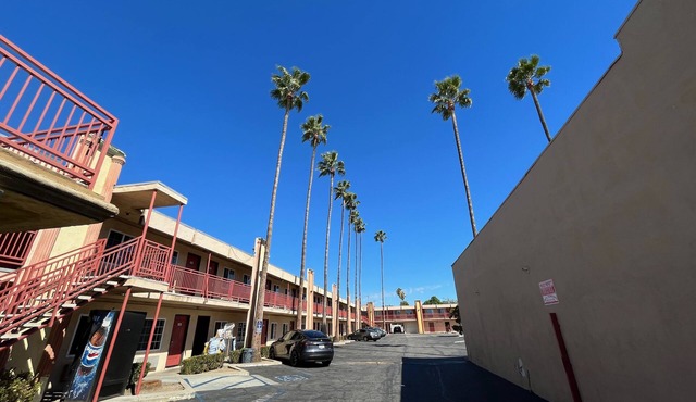 Palm Tree Inn