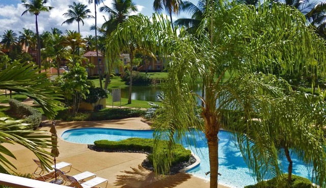 Palm View
