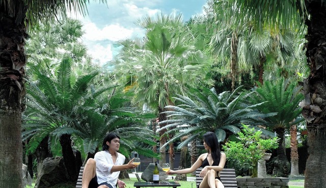 Palm Villa